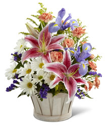 Nature's Wonder<br><b>FREE DELIVERY from Flowers All Over.com 
